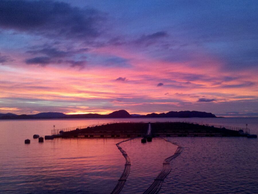 Centro de cultivo patagonia