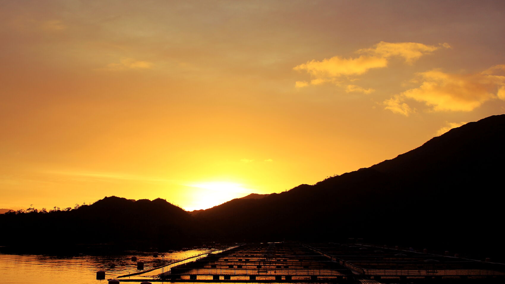 amanecer centro de cultivo